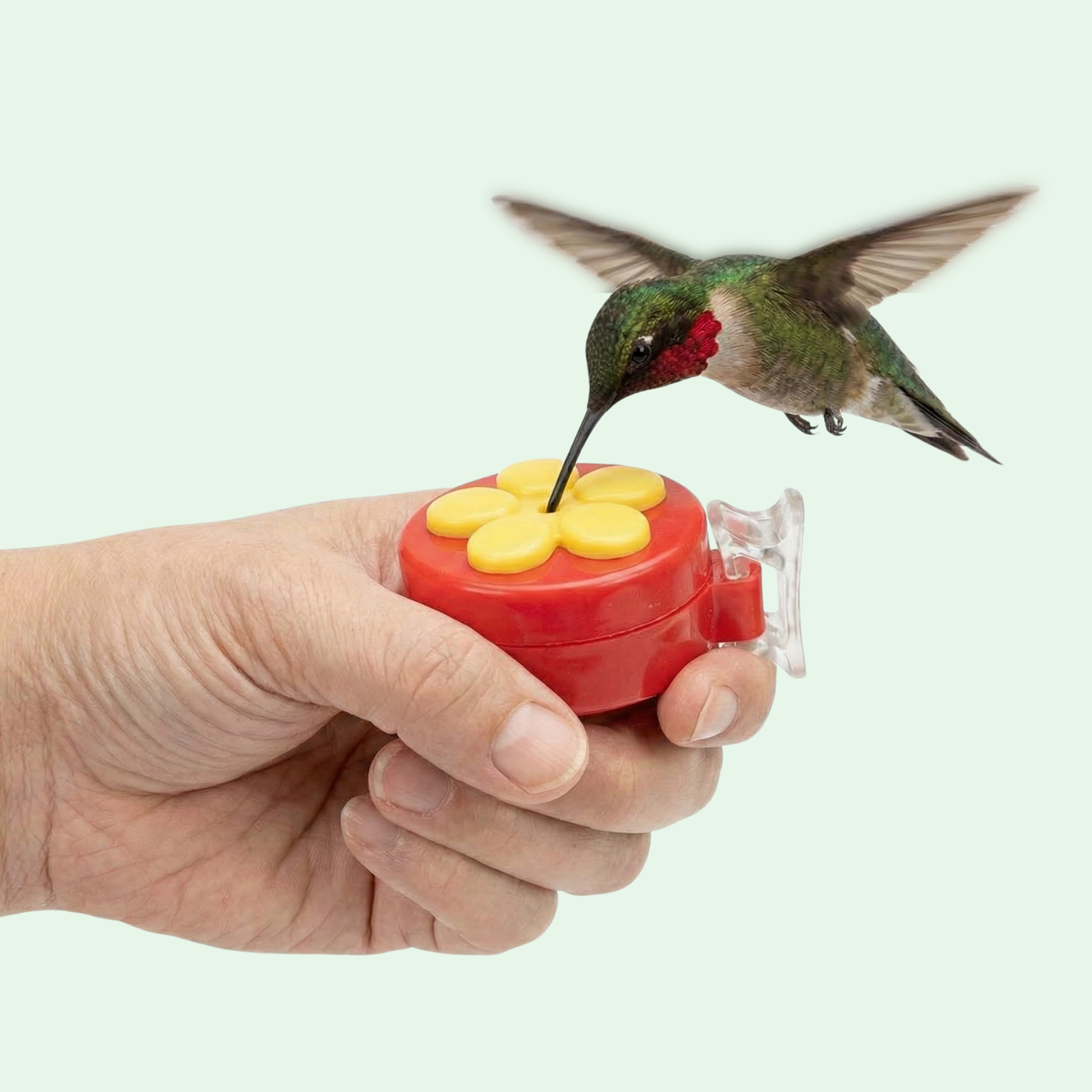 Premium Mini Hand Feeder